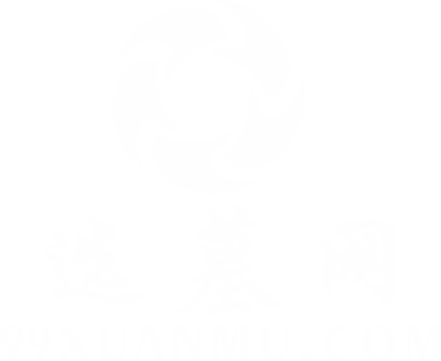 东莞市极泰网络科技有限公司